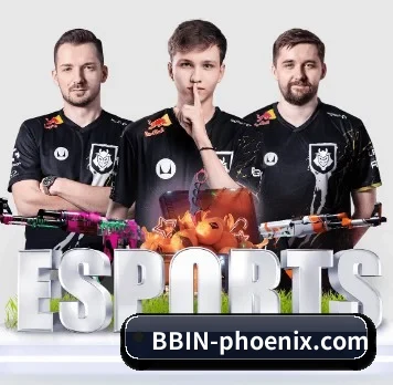 bbin体育网址 APP