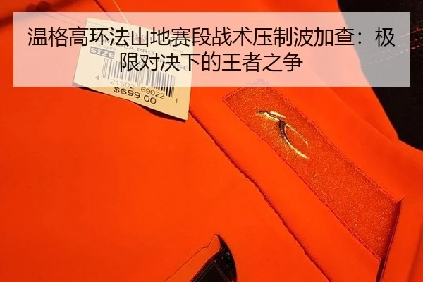 温格高环法山地赛段战术压制波加查：极限对决下的王者之争