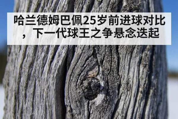 哈兰德姆巴佩25岁前进球对比，下一代球王之争悬念迭起